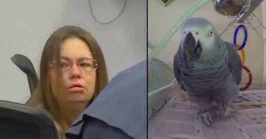Woman Found Guilty Of Murder After Parrot Repeats Dead Husband’s Last Words